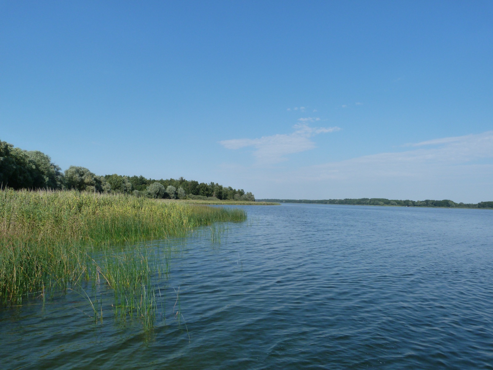 Blick auf den Soldiner See bei Kruszwin